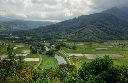 Lush green landscape with rice fields, a winding river, and mountains under a cloudy sky.