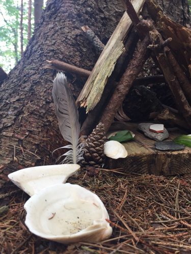 A small natural structure made of sticks, feathers, and shells, nestled at the base of a tree in a forest setting.