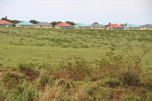 A grassy field with scattered shrubs in the foreground, and a row of houses with colorful roofs in the background.