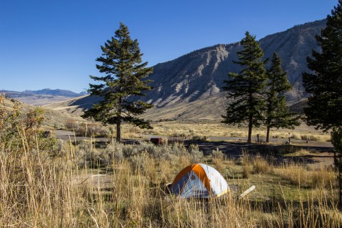 A bright orange tent nestled in tall grass, surrounded by trees and mountains under a clear blue sky.