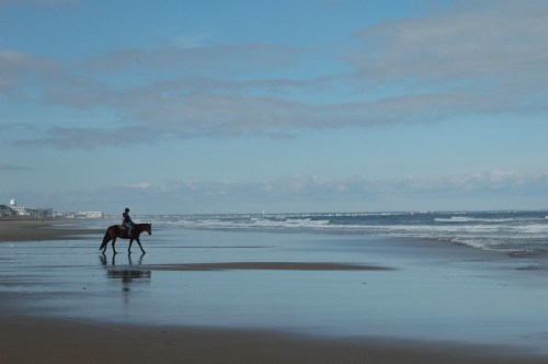 A person riding a horse along a sandy beach with gentle waves and a blue sky in the background.