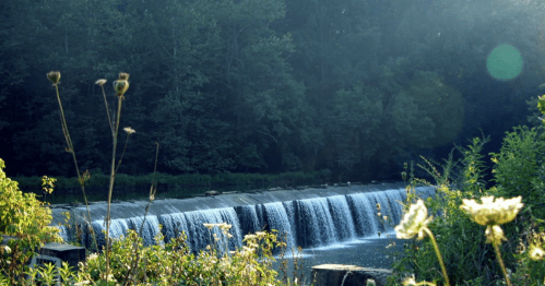 A serene waterfall cascades over a dam, surrounded by lush greenery and wildflowers in soft morning light.