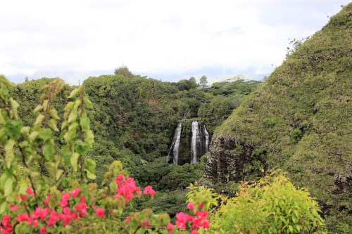 A lush green landscape featuring a waterfall surrounded by vibrant flowers and hills under a cloudy sky.