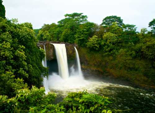 A serene waterfall cascades into a lush green landscape, surrounded by dense trees and foliage.