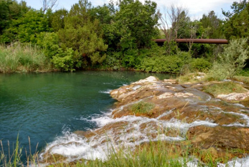 A serene river scene with clear water flowing over rocks, surrounded by lush greenery and trees.