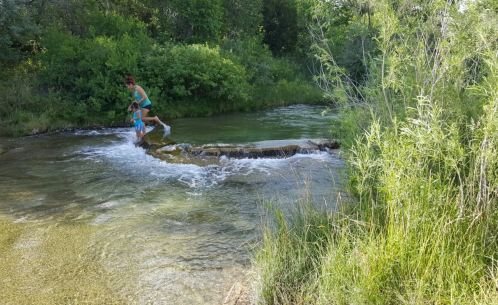 A person and a child playfully jump across a shallow stream surrounded by lush greenery.