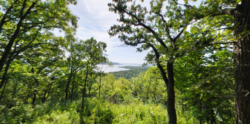 Lush green trees frame a scenic view of a river and distant hills under a bright blue sky.