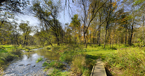 A serene forest scene with a winding stream and a wooden path surrounded by lush greenery and autumn foliage.