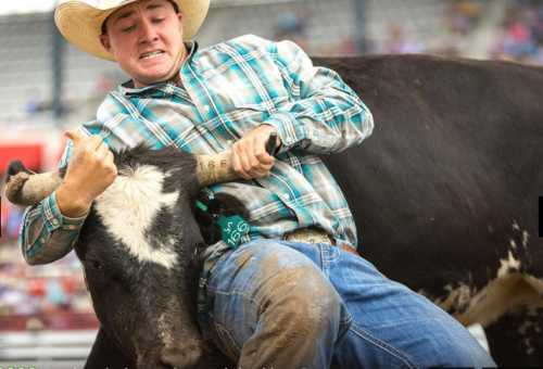 A cowboy in a plaid shirt struggles to stay on a bucking bull during a rodeo event.