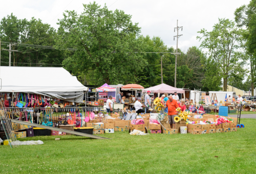 A bustling outdoor market with vendors selling various items, surrounded by green grass and trees under a cloudy sky.