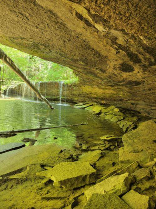 A serene cave with a clear pool of water, surrounded by lush greenery and gentle waterfalls in the background.