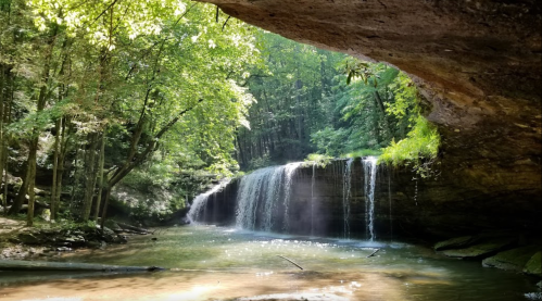 A serene waterfall cascades into a clear pool, surrounded by lush green trees and rocky cliffs.