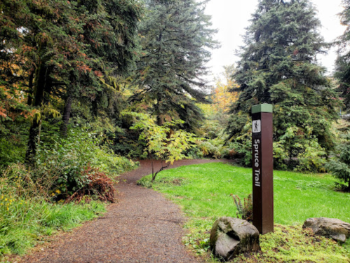 A winding path through a lush green forest, marked by a sign for "Spruce Trail."