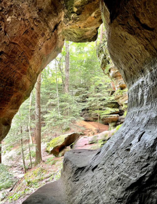 View from inside a cave, showcasing a forested landscape with trees and rock formations in the background.