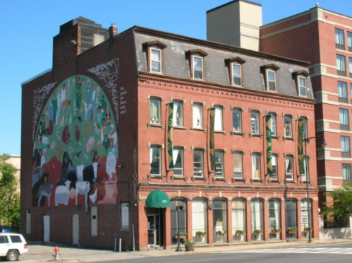 Historic brick building with a colorful mural of animals on one side, surrounded by modern buildings and clear blue sky.