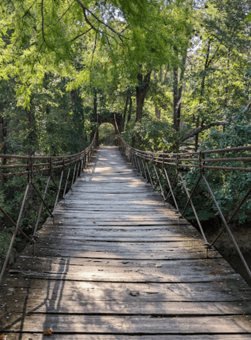 A wooden suspension bridge surrounded by lush green trees, leading into a serene forest.