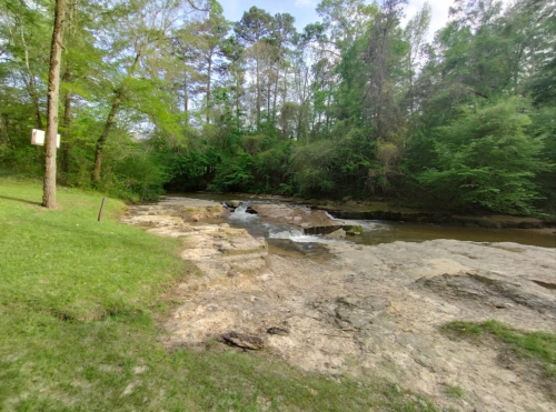 A serene river scene with rocky banks, surrounded by lush green trees and a clear blue sky.