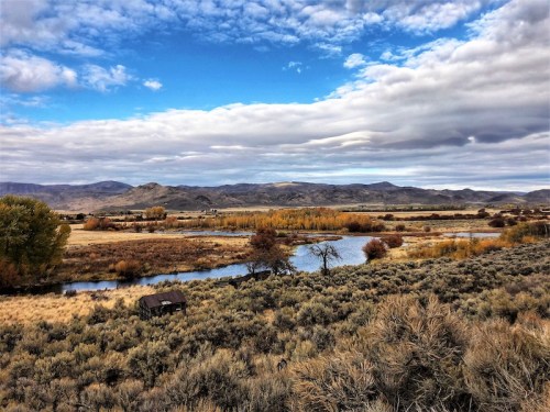 A scenic landscape featuring a winding river, rolling hills, and a mix of trees under a cloudy blue sky.