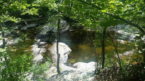 A serene river scene surrounded by lush greenery and rocks, reflecting sunlight on the water's surface.