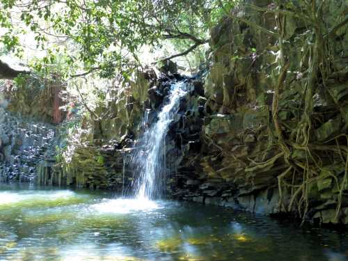 A serene waterfall cascades into a tranquil pool, surrounded by lush greenery and rocky formations.