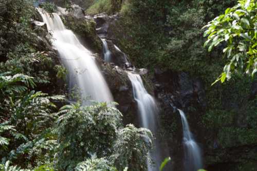 A serene waterfall cascading down rocky cliffs, surrounded by lush green foliage and tropical plants.