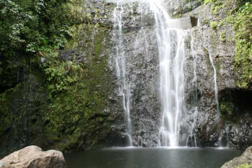 A serene waterfall cascading over rocky cliffs into a tranquil pool, surrounded by lush greenery.