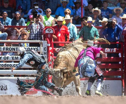 A rodeo scene with two cowboys attempting to catch a bull, surrounded by a cheering crowd in colorful attire.