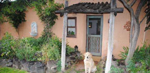 A golden retriever sits in front of a rustic home with a wooden arch and lush greenery surrounding the entrance.