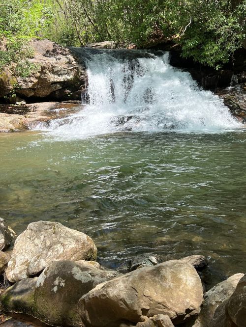 A serene waterfall cascades over rocks into a clear, tranquil pool surrounded by lush greenery.
