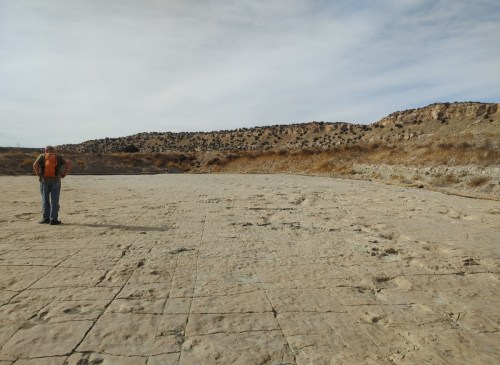 A person stands on a dry, cracked landscape with a hilly background under a cloudy sky.