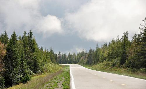 A winding road through a forested area under a cloudy sky, with greenery lining both sides.