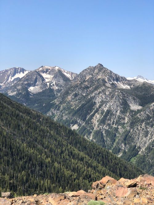 A scenic view of rugged mountains with snow-capped peaks and lush green forests under a clear blue sky.