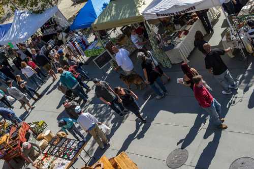 A bustling outdoor market with various stalls, people browsing, and a dog walking among the crowd.