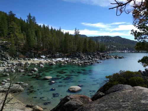 A serene lake surrounded by pine trees and rocky shores under a clear blue sky.