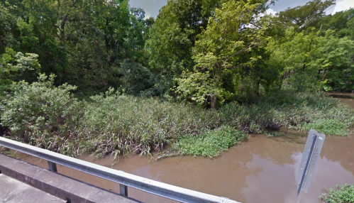 A view of a muddy riverbank surrounded by lush green trees and vegetation, with a metal railing in the foreground.