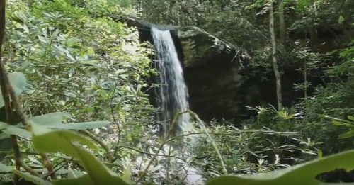 A serene waterfall cascading through lush green foliage in a dense forest.