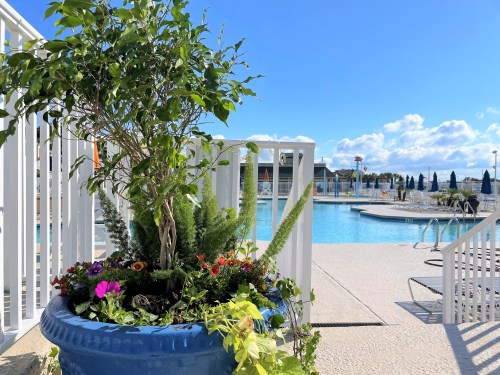 A vibrant potted plant in a blue pot near a sparkling pool under a clear blue sky with fluffy clouds.