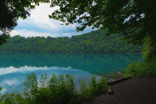 A tranquil lake surrounded by lush green trees, reflecting the sky and foliage on its calm surface.