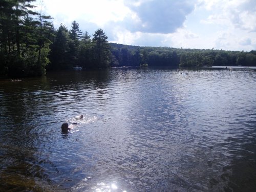 A person swims in a calm lake surrounded by trees and a partly cloudy sky.