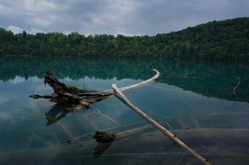 A serene lake reflects trees and a cloudy sky, with a fallen log and branches partially submerged in the water.