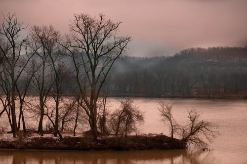 A serene river scene at dusk, featuring bare trees along the water's edge and misty hills in the background.