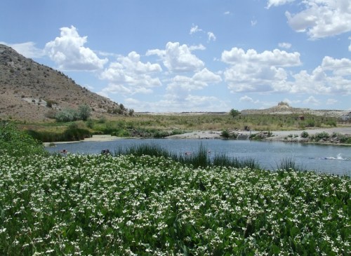 A serene landscape featuring a pond surrounded by lush greenery and wildflowers, with hills and clouds in the background.