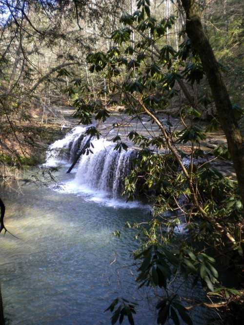 A serene waterfall cascades over rocks, surrounded by lush greenery and trees in a tranquil forest setting.