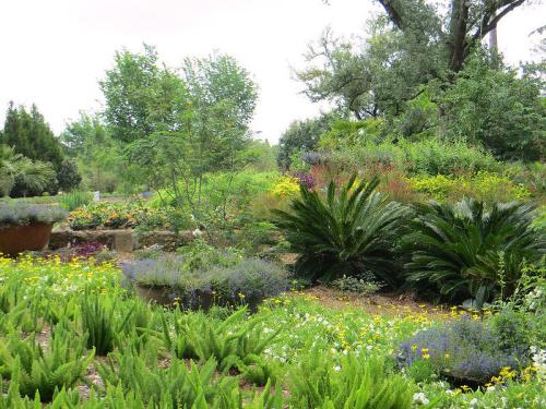 Lush garden with vibrant flowers, greenery, and various plants, creating a colorful and serene landscape.