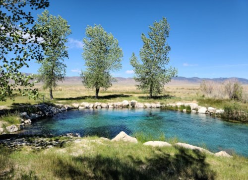 A serene natural spring surrounded by green grass and trees under a clear blue sky.