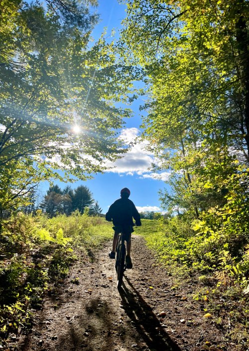 A person rides a bike along a sunlit trail surrounded by lush green trees and a bright blue sky.