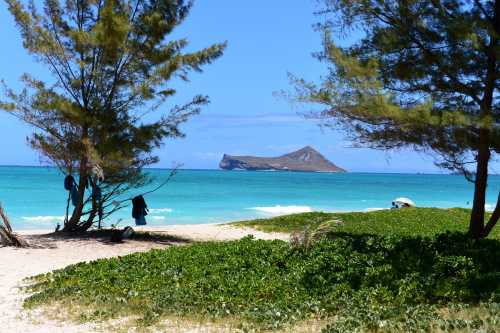 A serene beach scene with turquoise water, distant island, and trees framing the view.