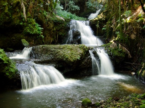 A serene waterfall cascading over rocks, surrounded by lush greenery in a tranquil forest setting.