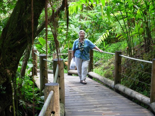 A person in a blue shirt walks on a wooden bridge surrounded by lush green foliage in a tropical setting.