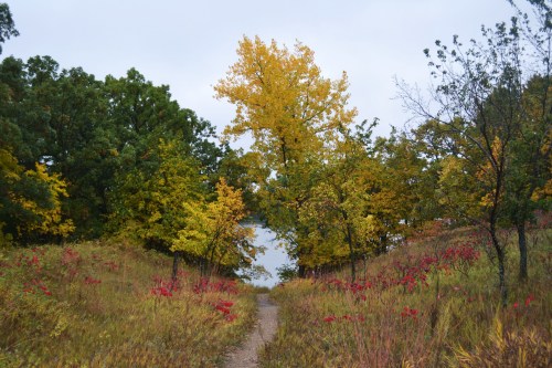 A winding path through colorful autumn foliage leads to a serene lake in the background.